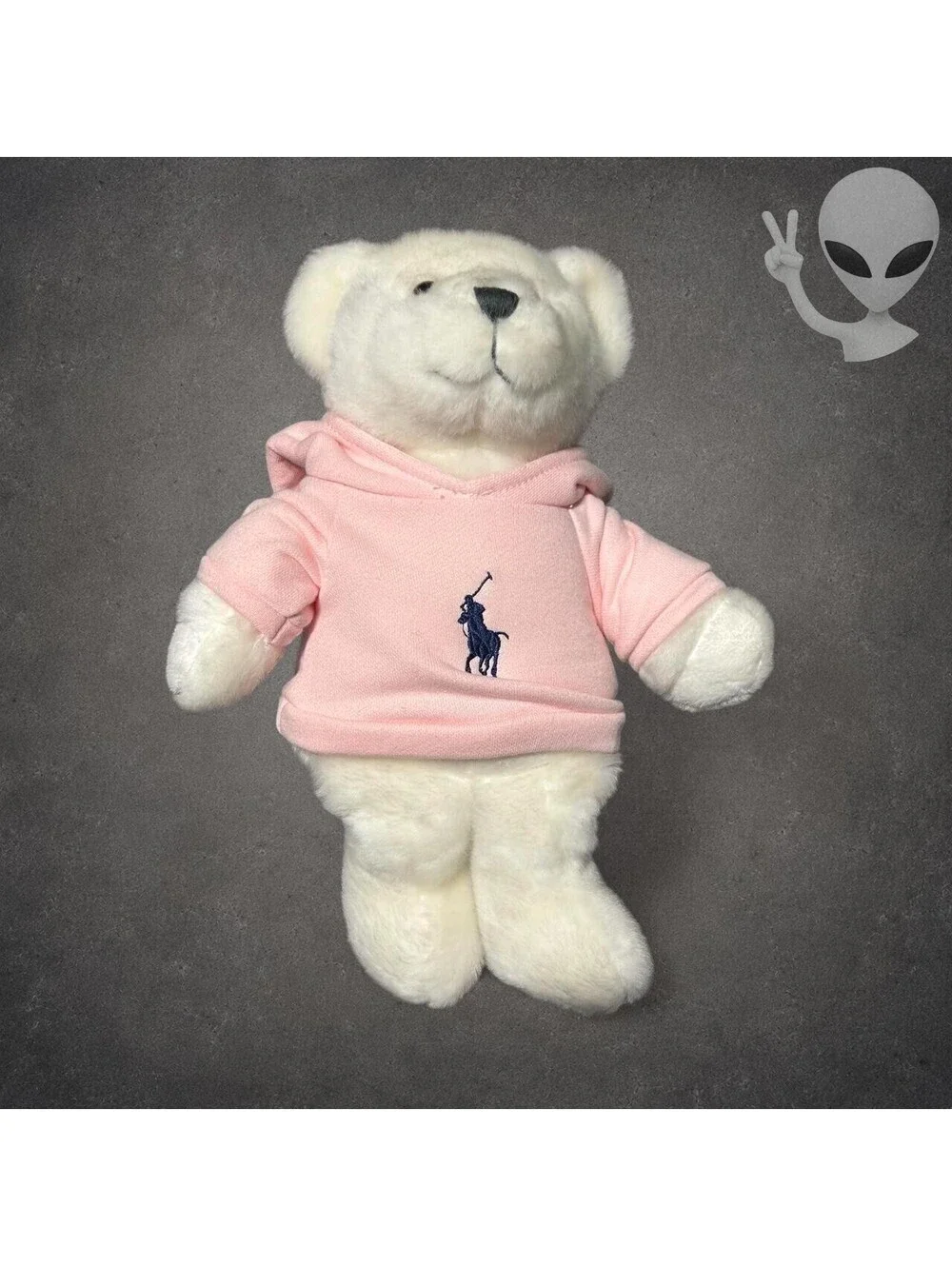 Ralph Lauren The Romance Bear Plush White Teddy Pink Big Pony Hoodie 14